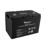 Renogy 12V 100Ah Lithium LiFePO4 Deep Cycle Battery,4000+Deep Cycles ...